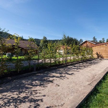 Chalet Du Bien-Etre 15P. Piscine,Spa, Hammam,Petanque,Basket 제라르메르 외부 사진